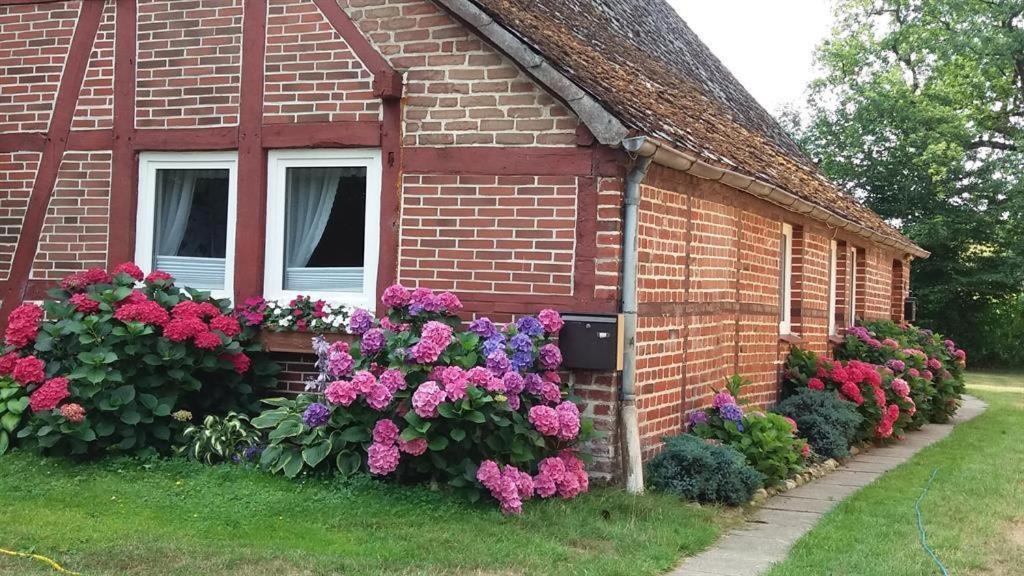Von Wiegen, Ferienwohnungen Schneverdingen Bagian luar foto